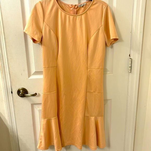 Charlotte Rousse Gently Used XL Dress - Picture 1 of 4